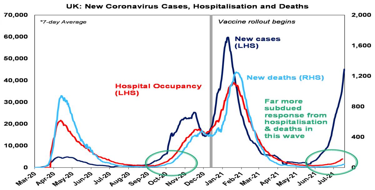 New cornonavirus cases hospitalizations and deaths