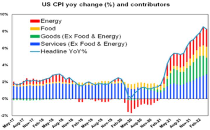 US CPI yoy change and contributors