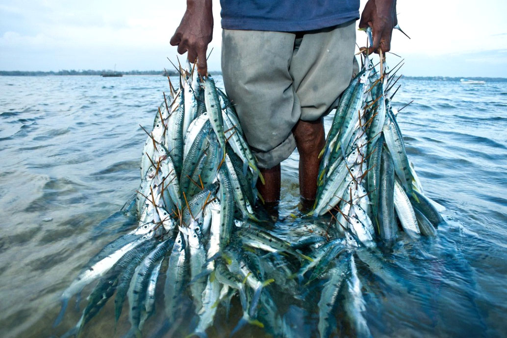 Destructive fishing