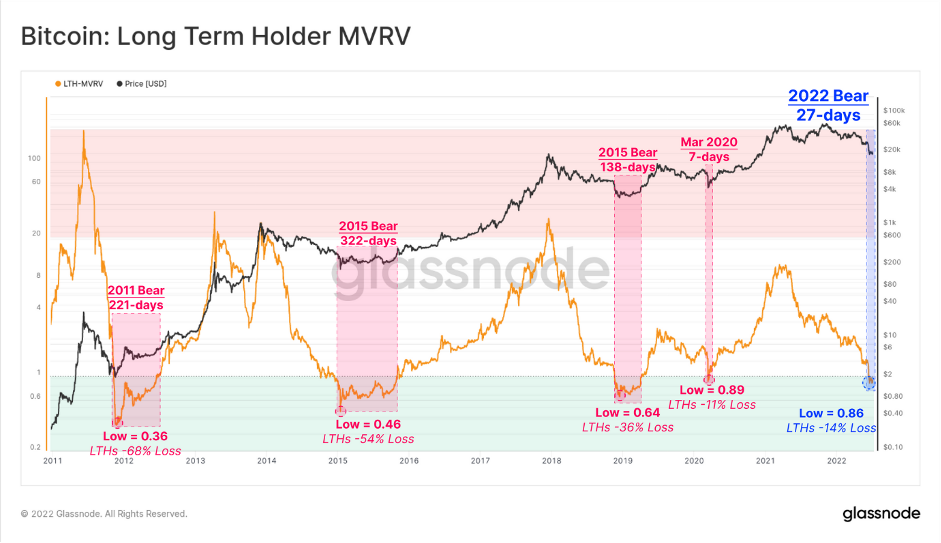 Bitcoin Long Term Holder