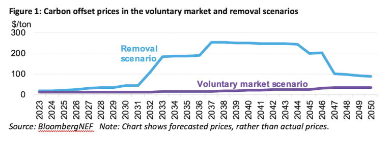 Carbon offset prices in the voluntary market