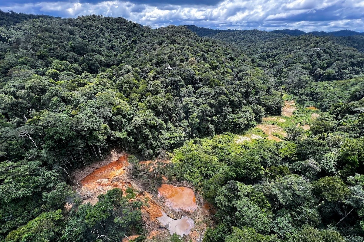 Amazon Deforestation