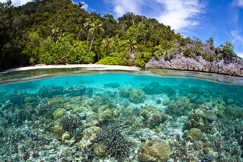 Protected areas of PNG