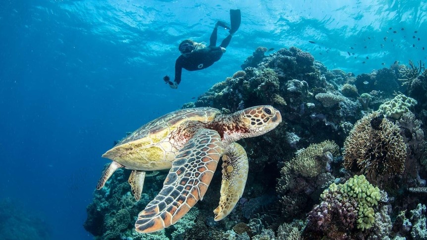 Great Barrier Reef landmark treaty