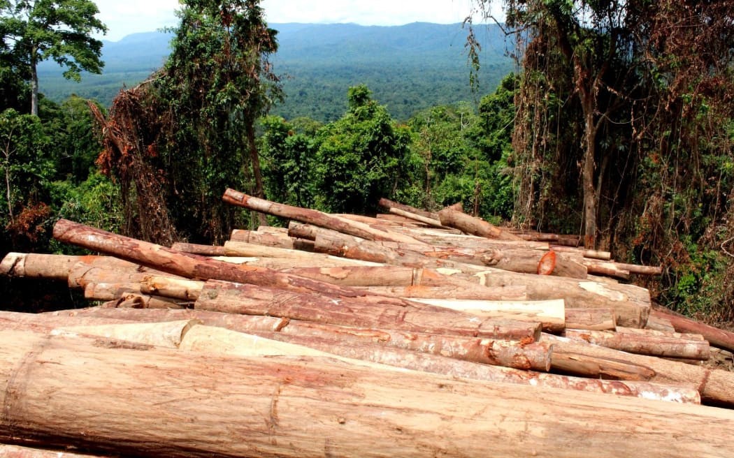 Log piles in East New Britain. (file image) Photo: Global Witness Media Hub